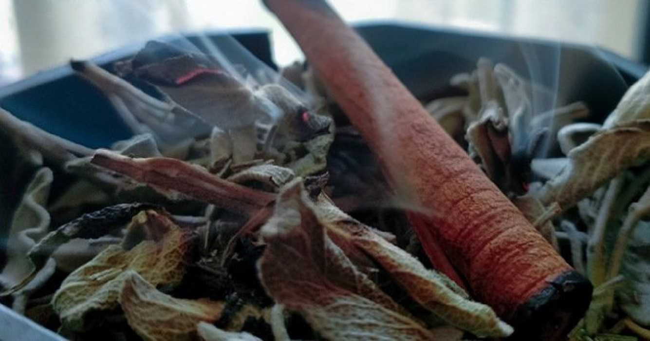 Canela: conoce los beneficios de quemarla en tu hogar