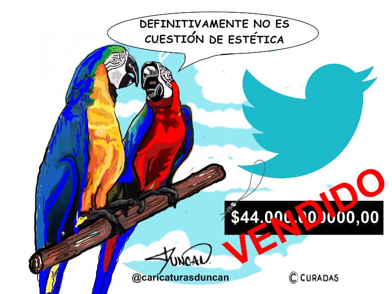 Cuestión de estética