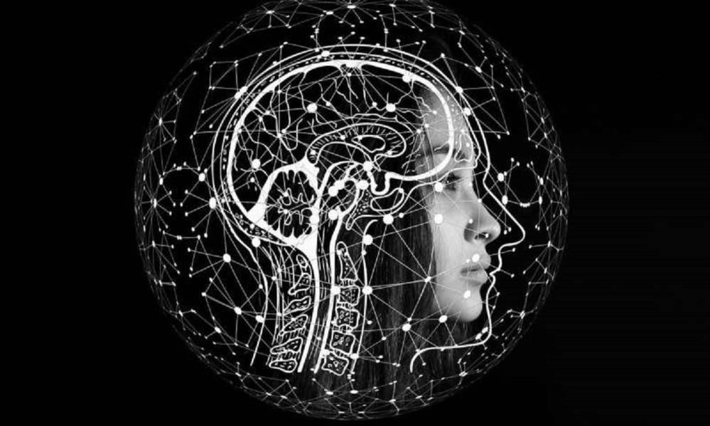 Harvard: cómo proteger la salud de la memoria con estas actividades