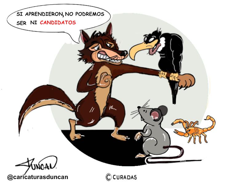 ¿Candidatos? - Caricatura de Duncan