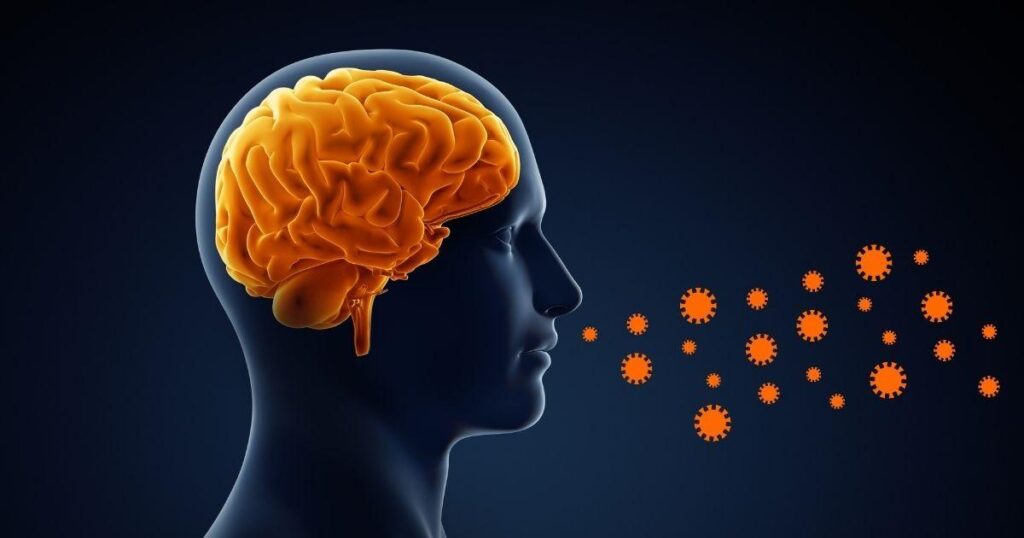 coronavirus y cambios en el cerebro