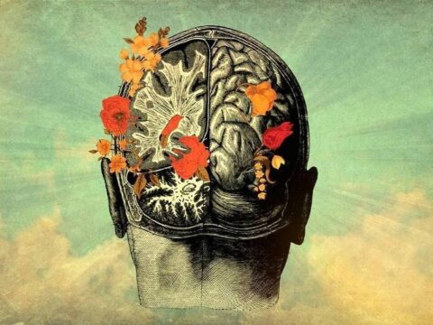 Efemérides 5 de abril | Día Internacional de la Conciencia - CURADAS