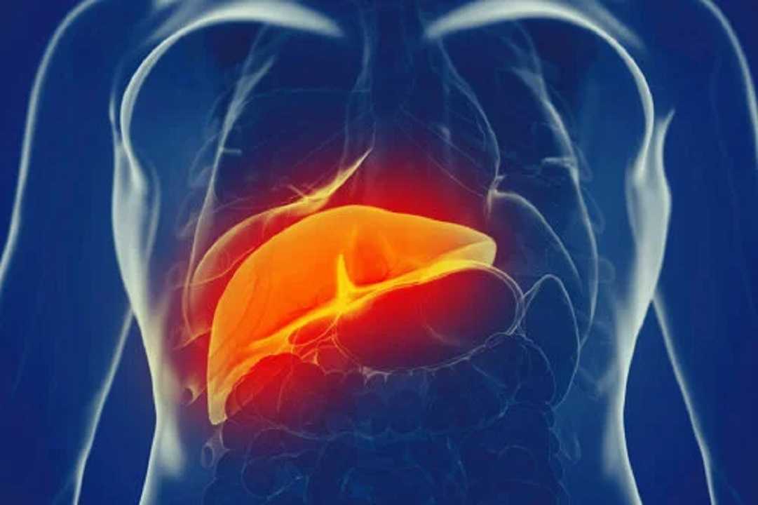 El hígado: conoce los hábitos díarios que lo dañan
