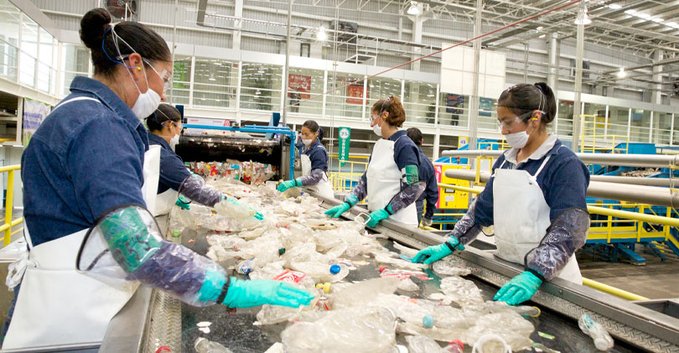 crecimiento profesional