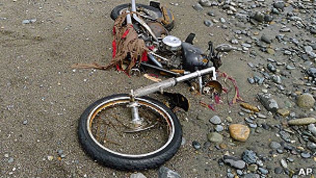 rarezas varadas en la playa