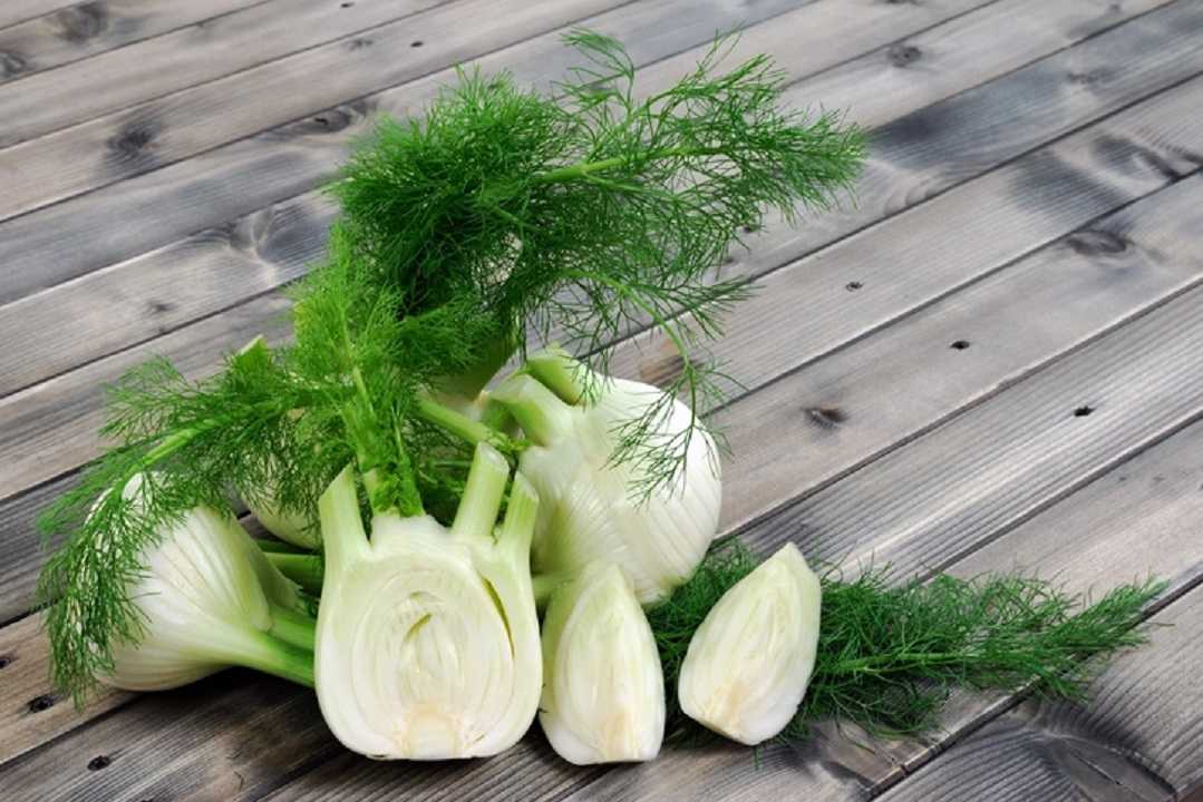 Hinojo: beneficios que aporta el superalimento de la huerta mediterránea