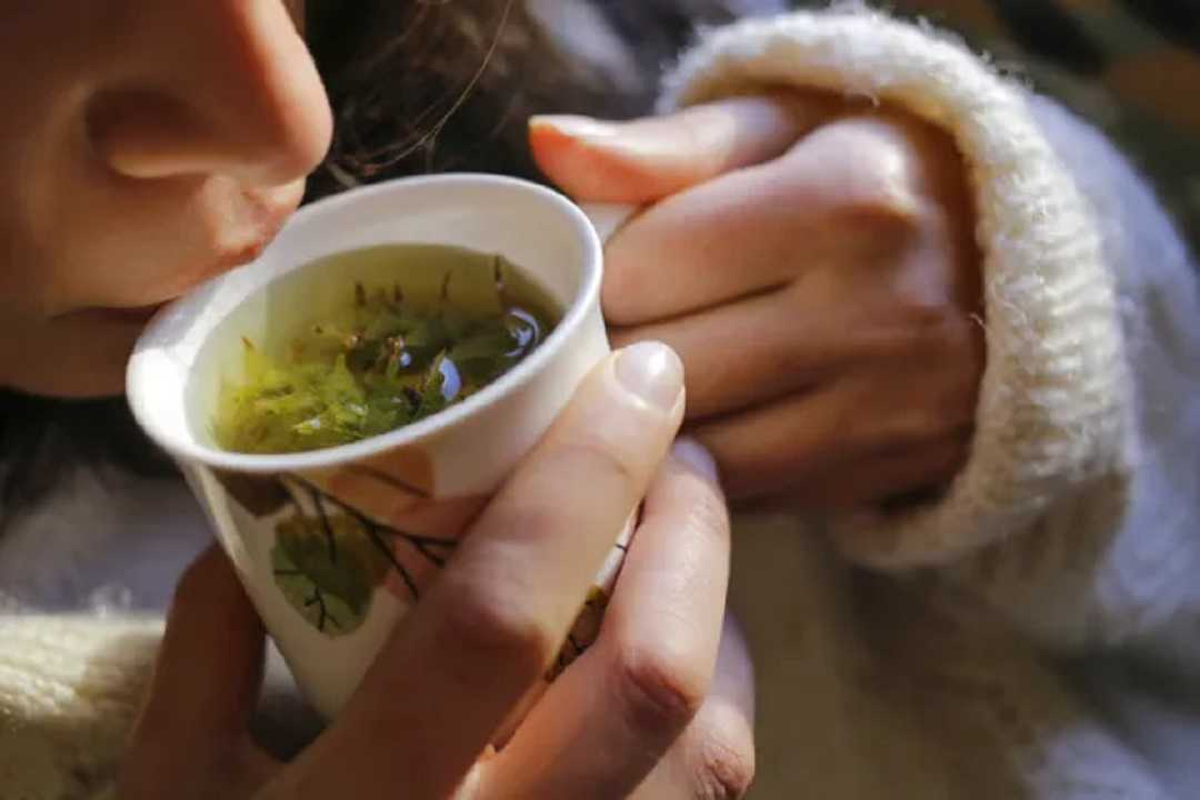 Té de perejil: conoce los potenciales beneficios que aporta para la salud