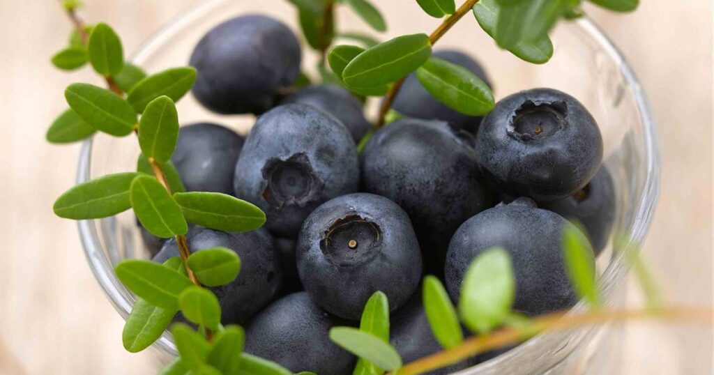 Alimentos que suben las defensas