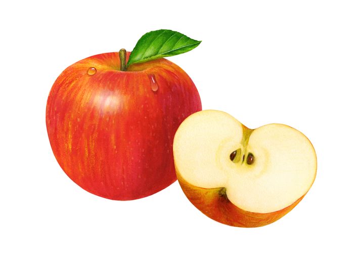 desintoxicantes del colon