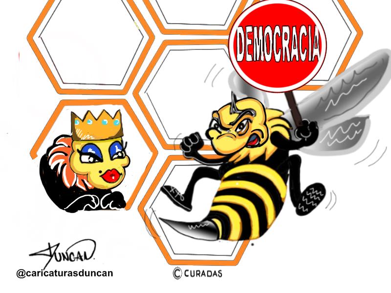 Día Mundial de las Abejas - Caricatura de Duncan