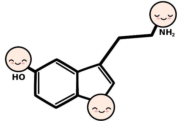 Serotonina