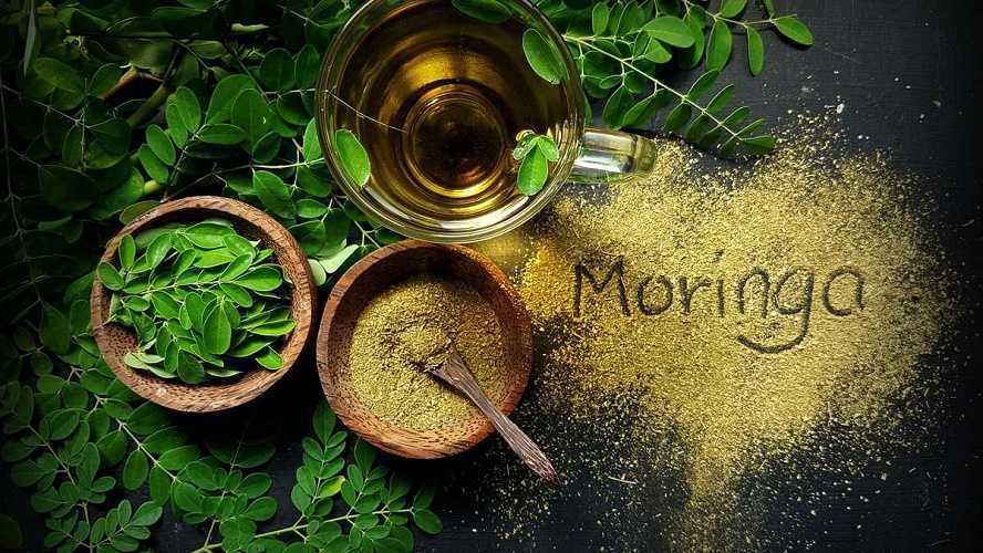 Moringa