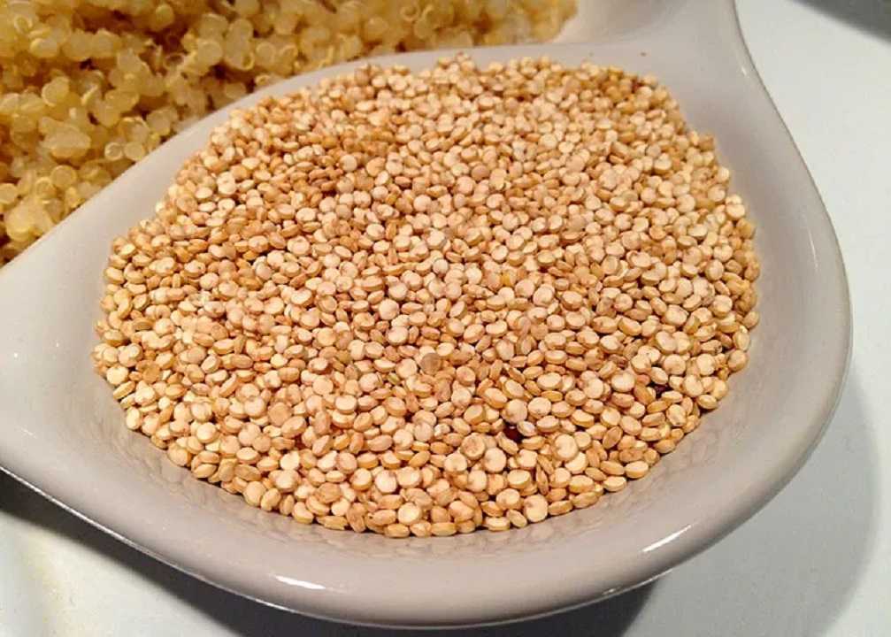 Quinoa: el superalimento que te ayuda a bajar de peso