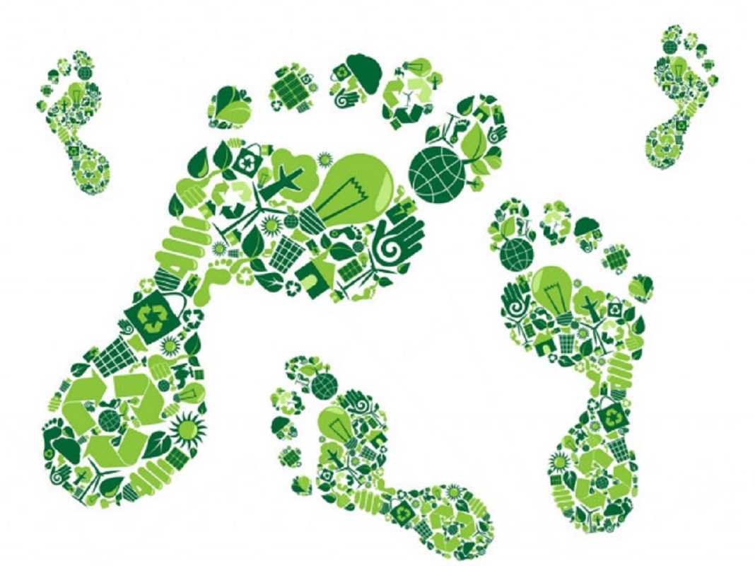 Huella de carbono: entérate qué es y cómo medirla