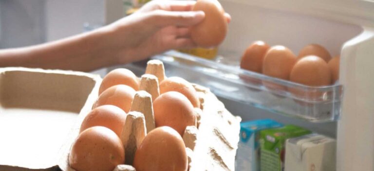 Los huevos y cómo conservarlos para que duren más en buen estado