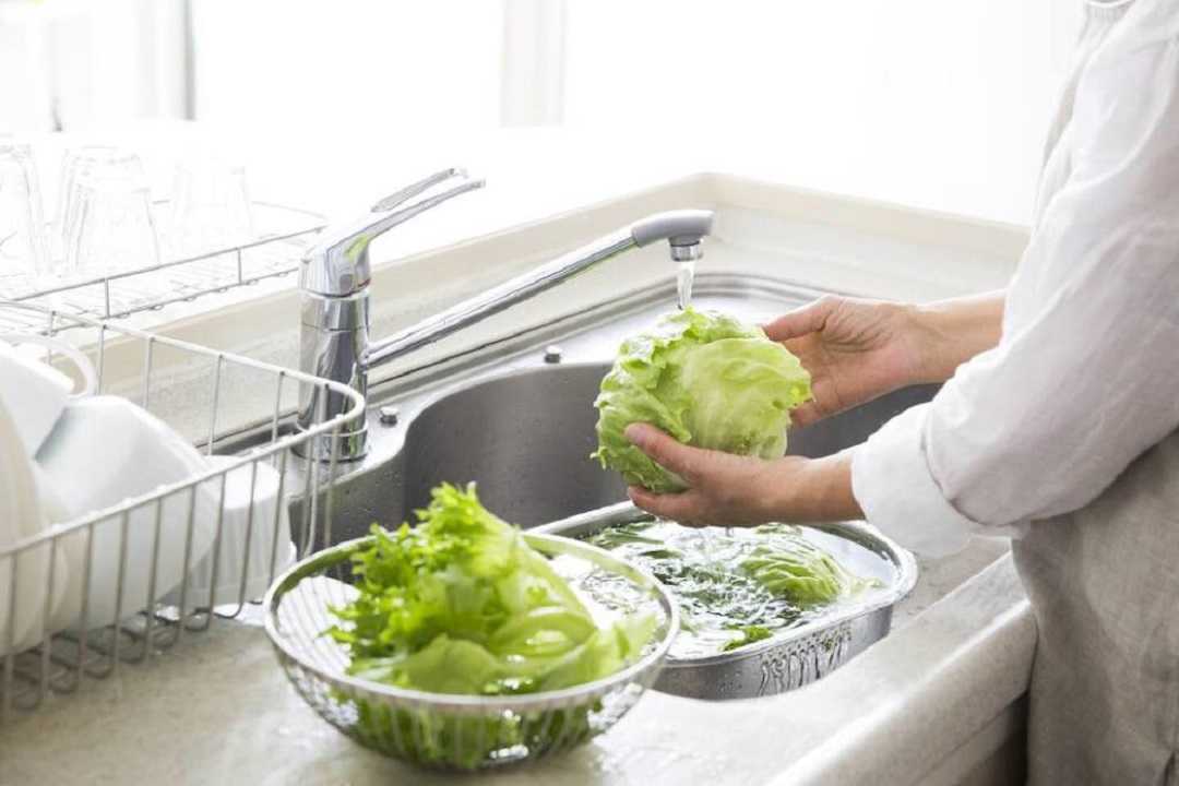 Lechuga: entérate de la forma correcta`para desinfectarla