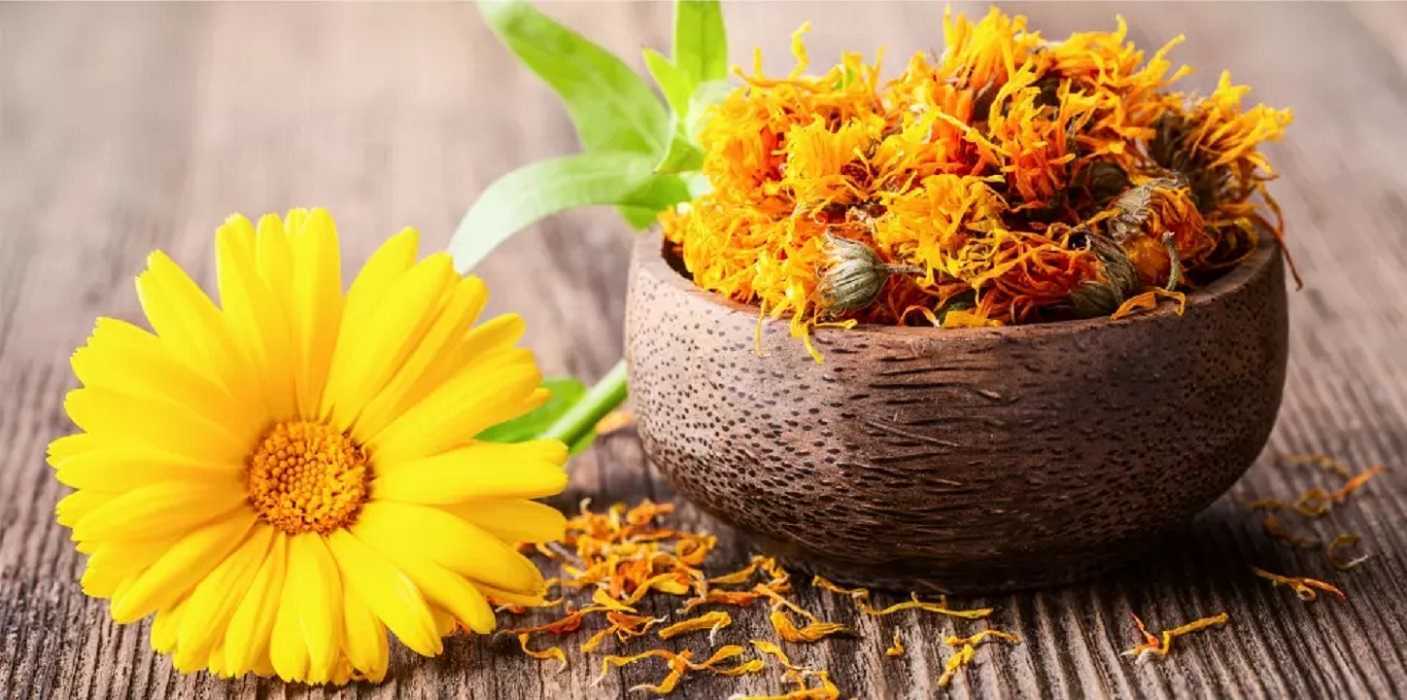 Caléndula: desinflama la piel y regula la glucosa naturalmente