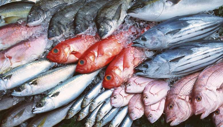 alimentos