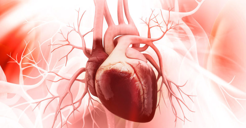 Corazón tensión hipertensión Alimentos que causan hipertensión