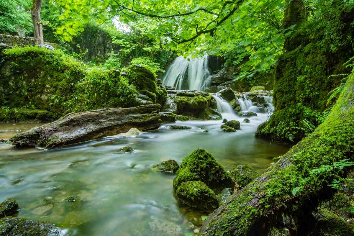 El Sahara era una selva