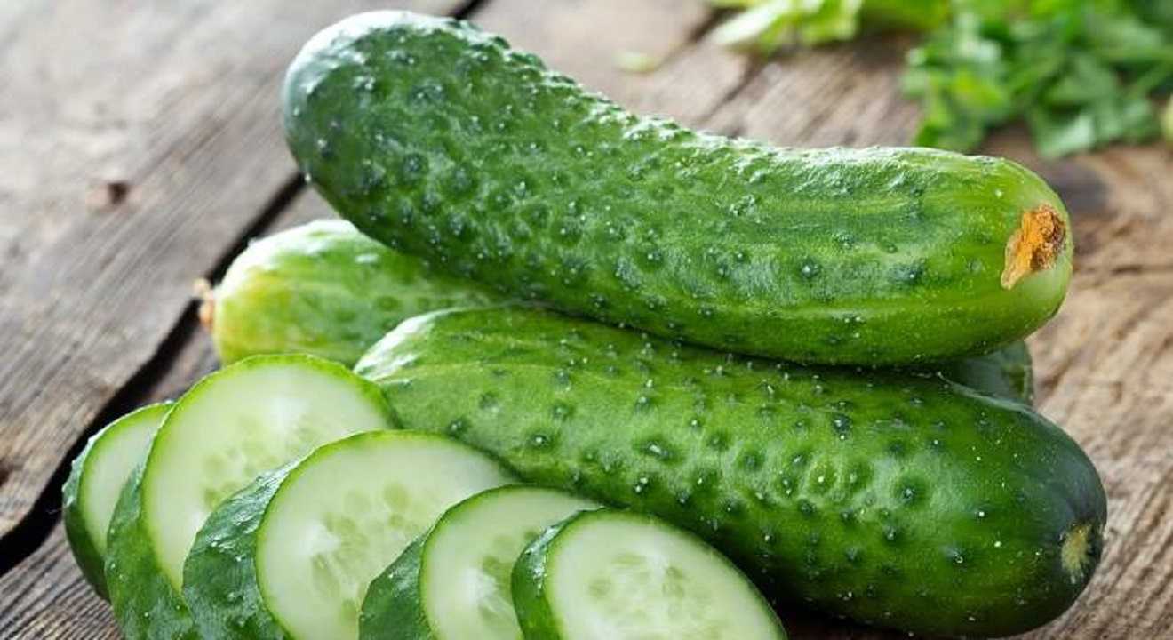 Truco del pepino para eliminar de forma rápida a las cucarachas
