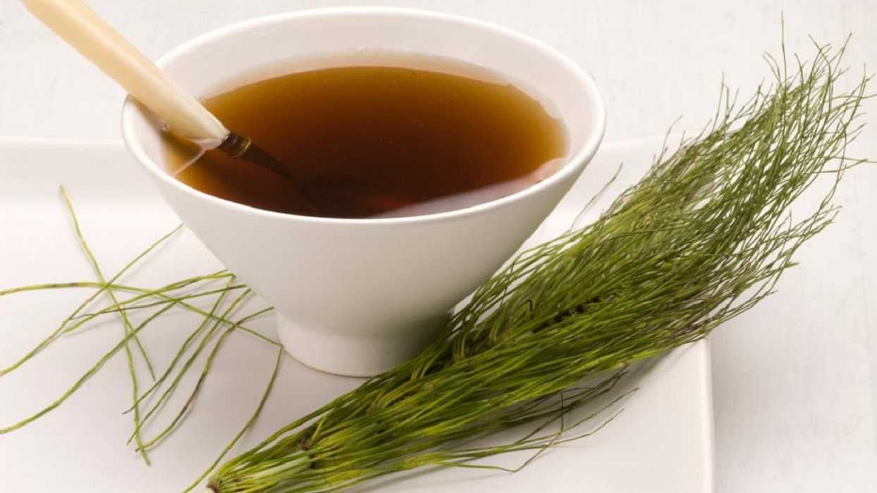 Cola de caballo: prepara la infusión que te ayudará a adelgazar