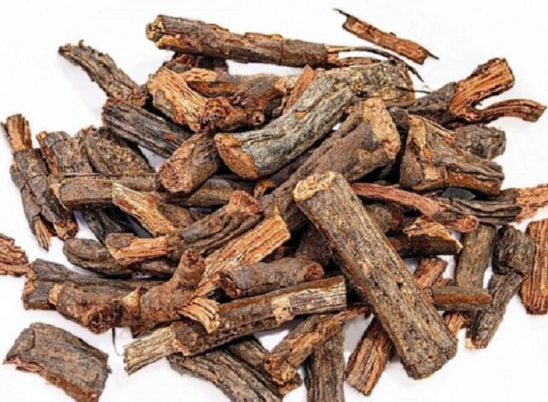 Palo azul conoce para qué sirve y cómo se prepara CURADAS