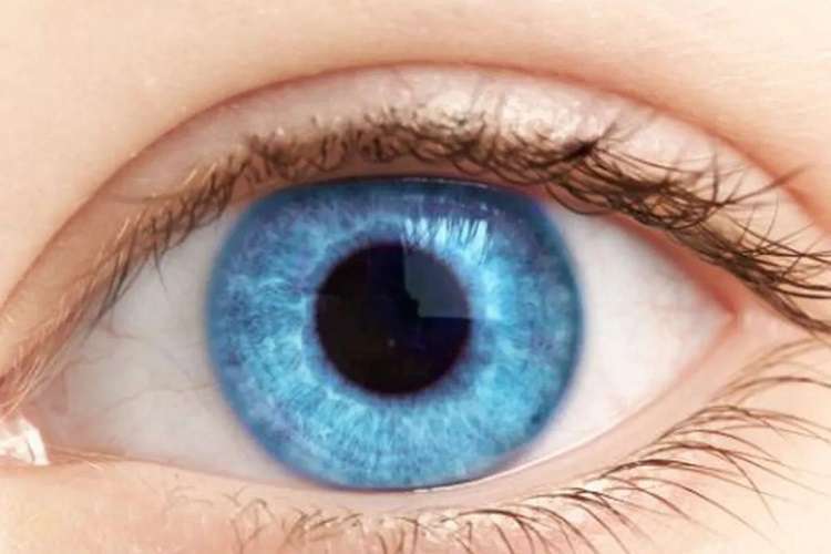 Ojos azules