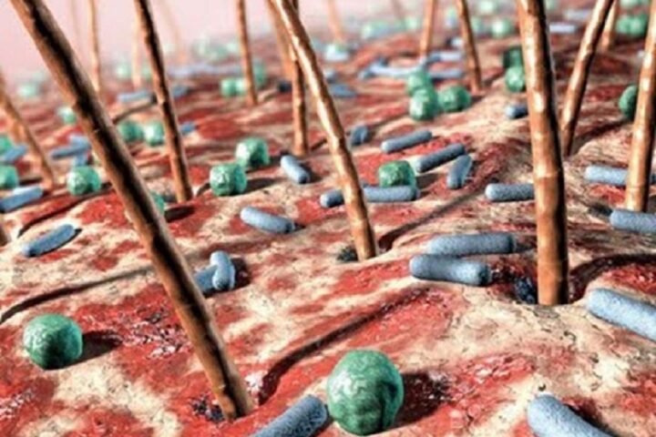 Bacterias: conoce cuántas viven sobre tu piel