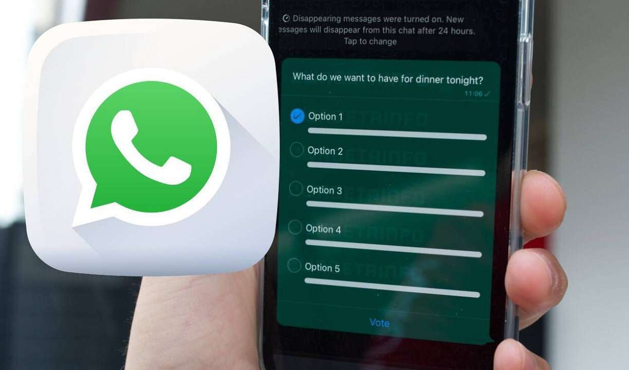 Encuestas en WhatsApp: cococe cómo crearlas paso a paso