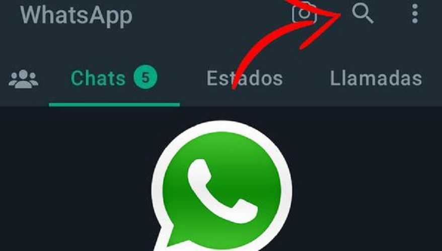 Lupa de WhatsApp