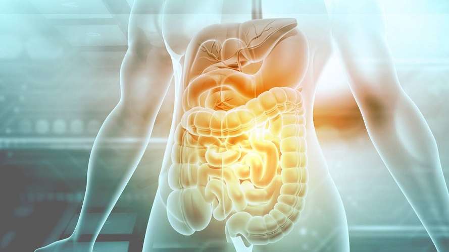 Salud intestinal