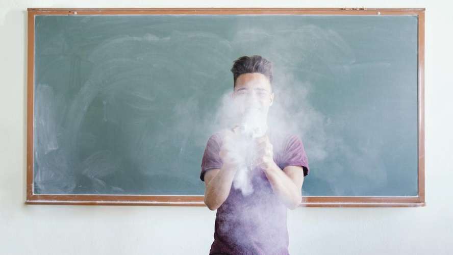 Acaba con las hormigas