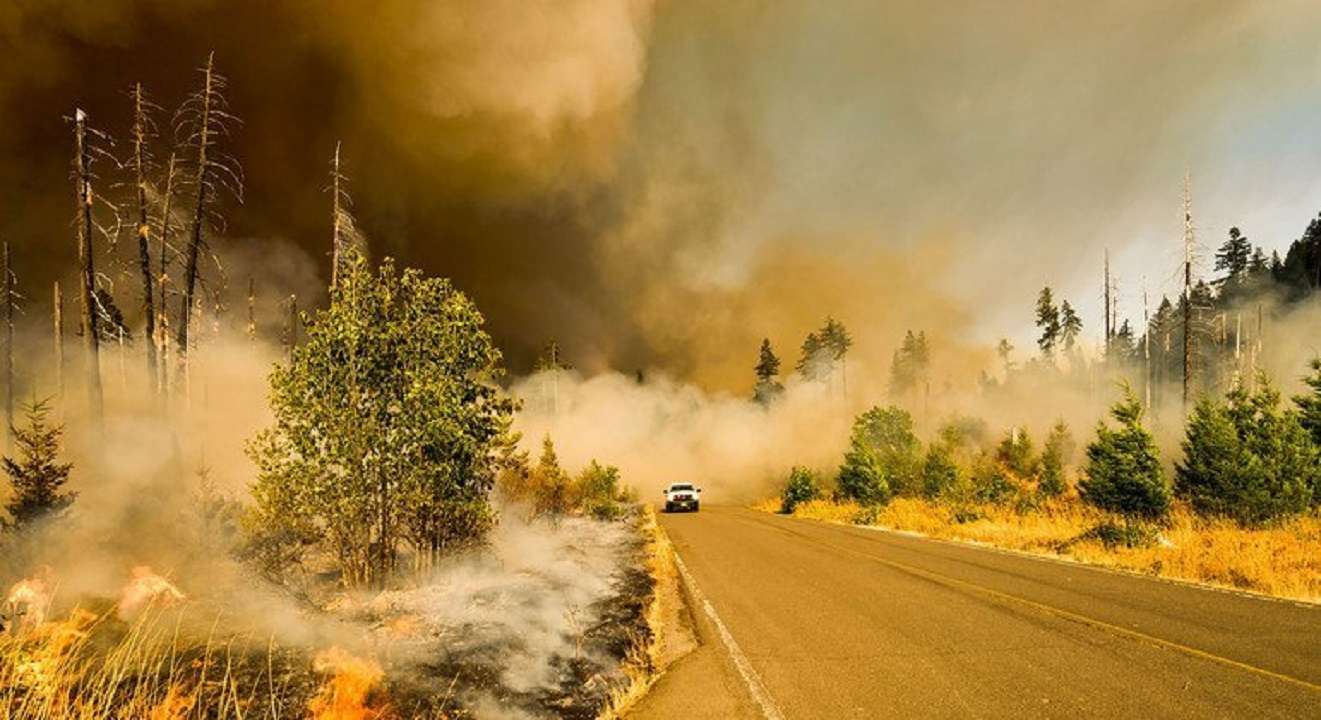 Cambio climático: conoce cómo afecta a los humanos