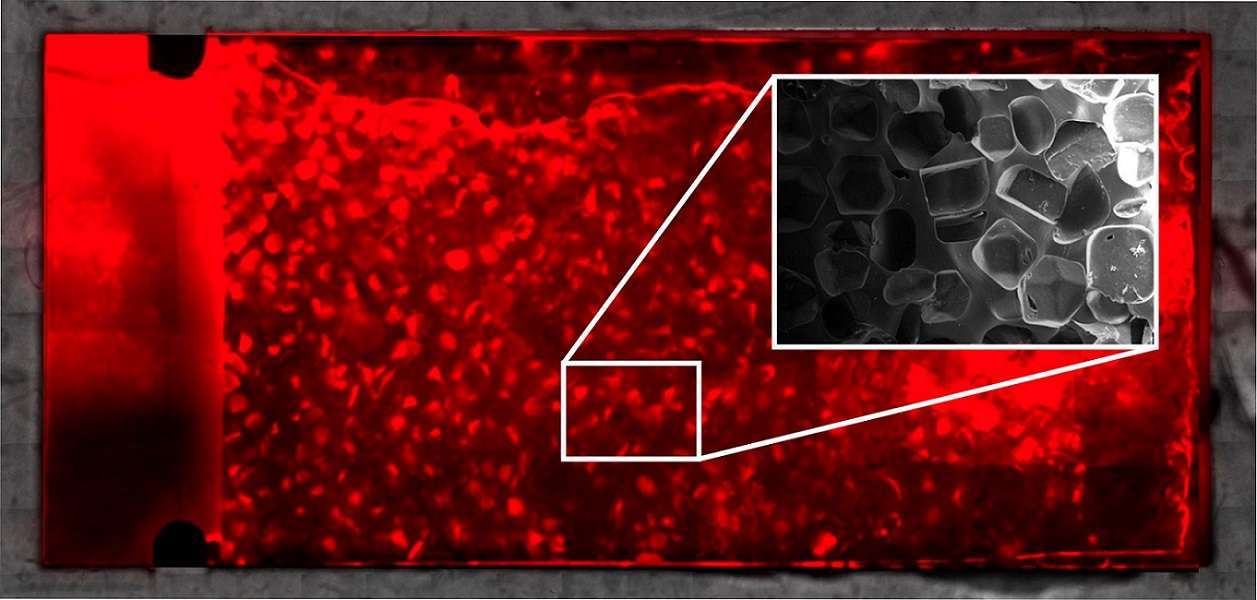 Materia oscura microbiana: conoce qué es