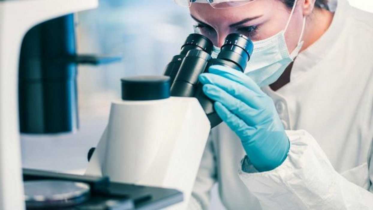 Esponja y bacterias marinas: la clave para fármacos contra la covid