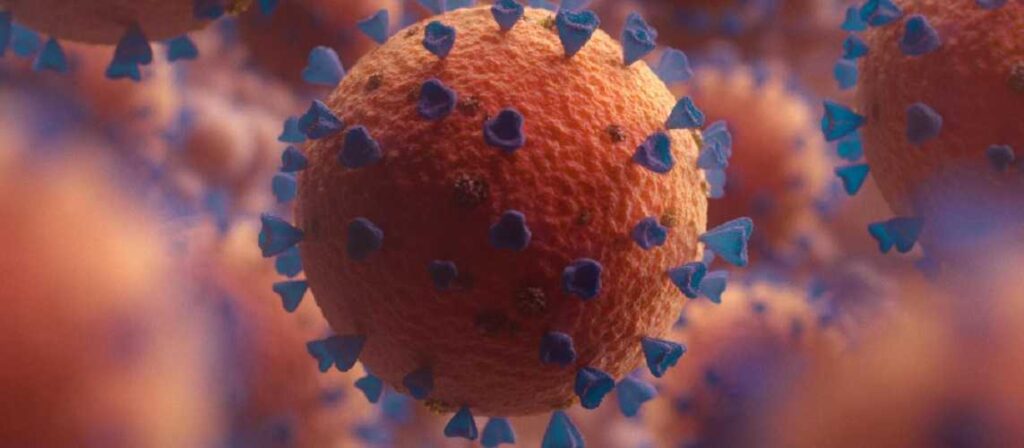 Esponja y bacterias marinas