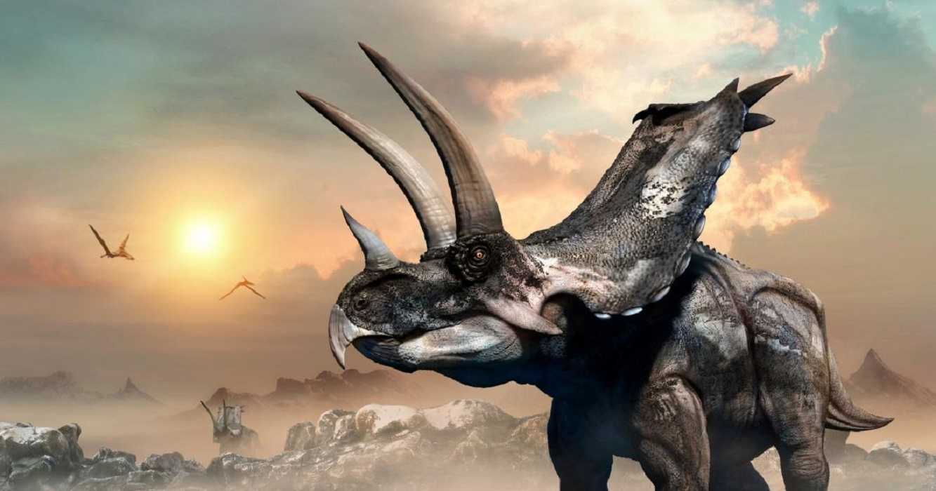 Los dinosaurios: curiosidades que quizás no conocías