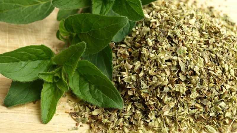 Infusión de orégano con limón