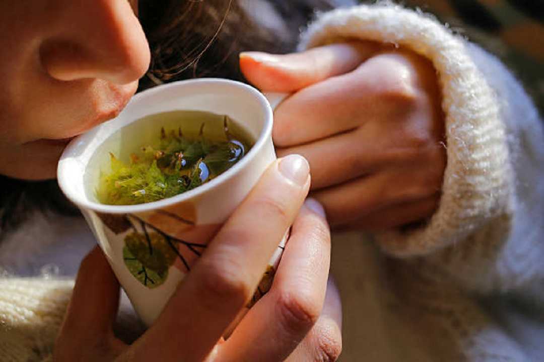 Tomillo: planta medicinal para limpiar los pulmones