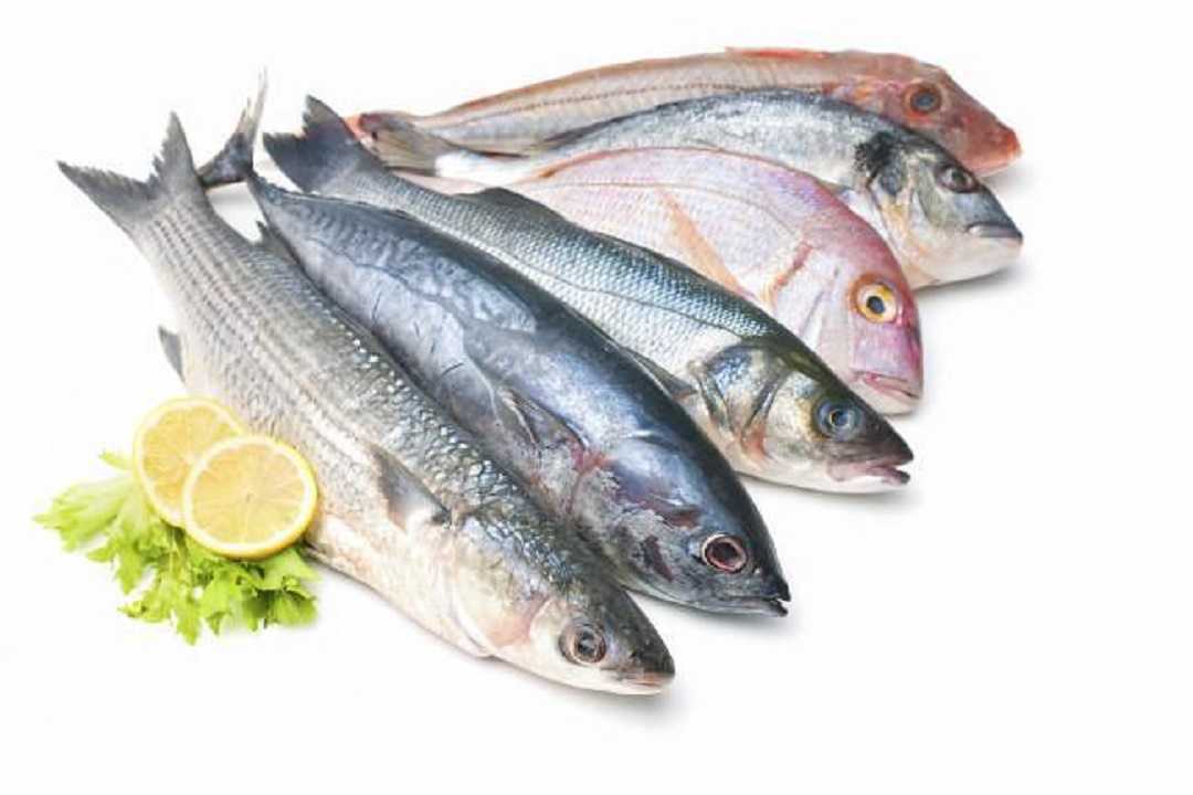 Pescados: conoce cuáles son los más baratos que puedes comprar