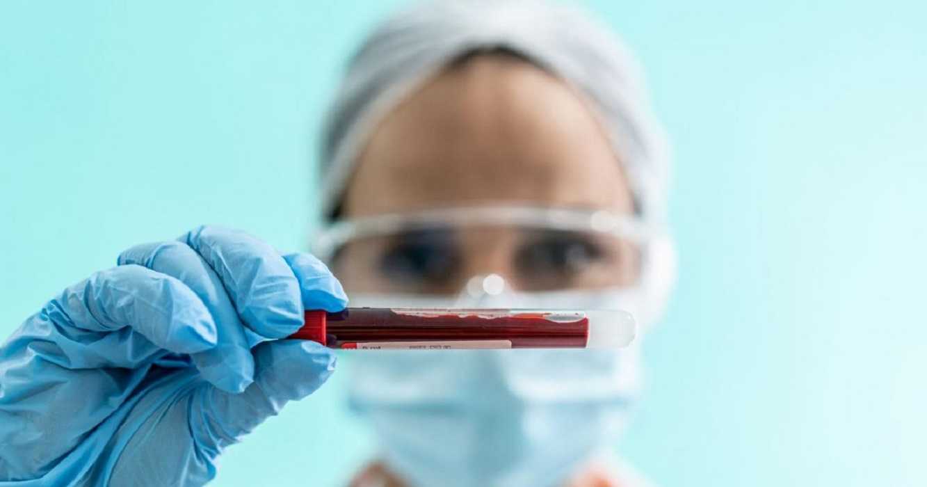Sangre artificial: el CSIC trabaja arduamente para lograrlo