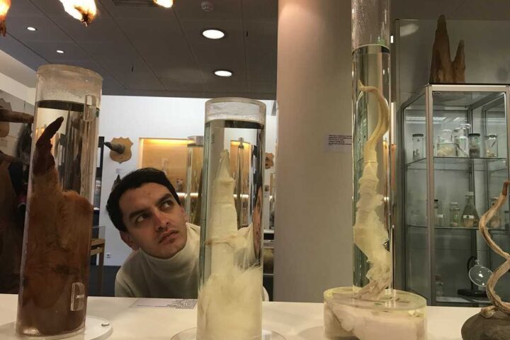Los museos más raros del mundo