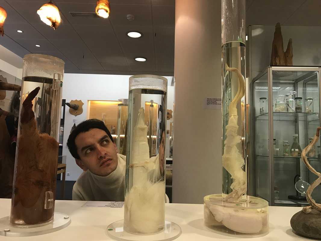 Los museos más raros del mundo