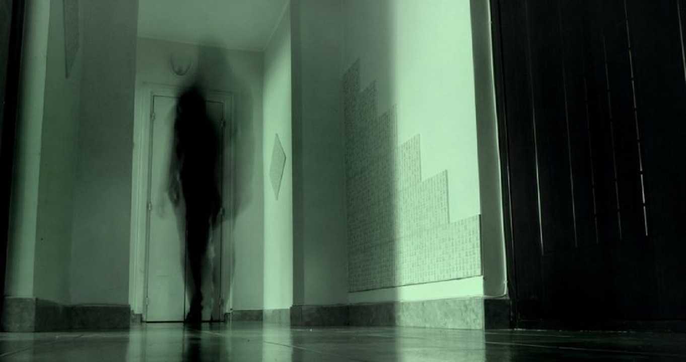 El horror de Dino / DrossRotzank