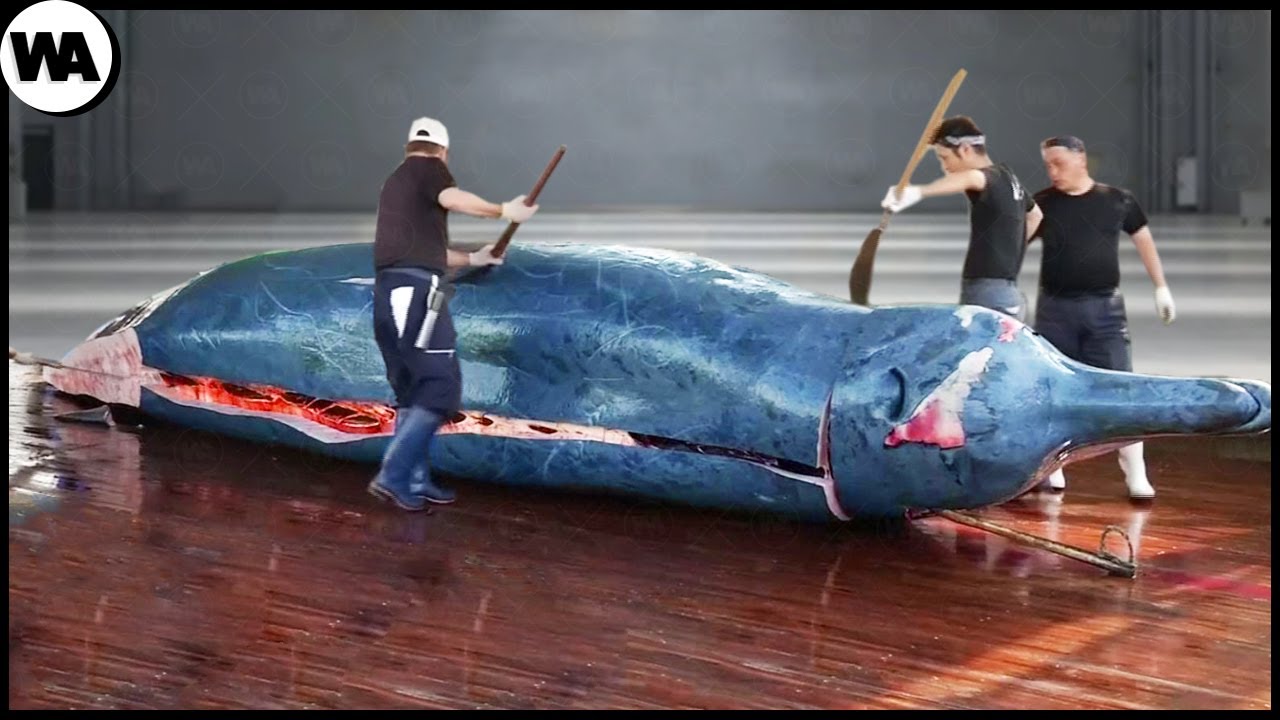 Pescadores ballena ámbar gris perfume