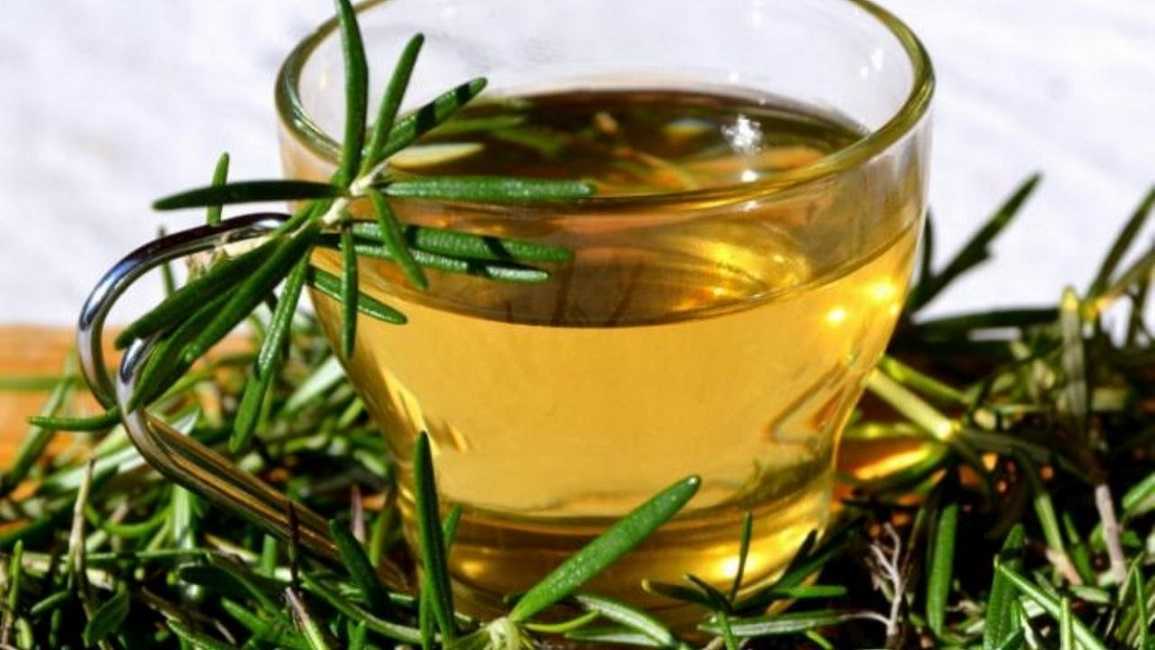 Té de romero: mejora la memoria y protege la salud cerebral