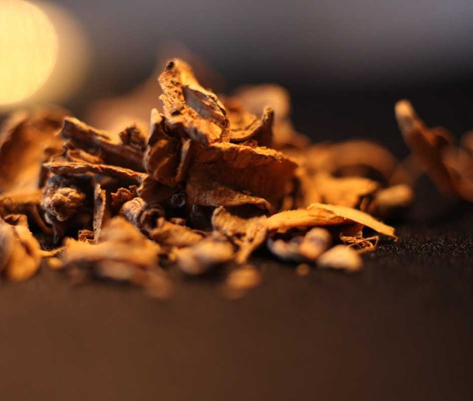 Ibogaína: conoce qué es y por qué se está poniendo de moda