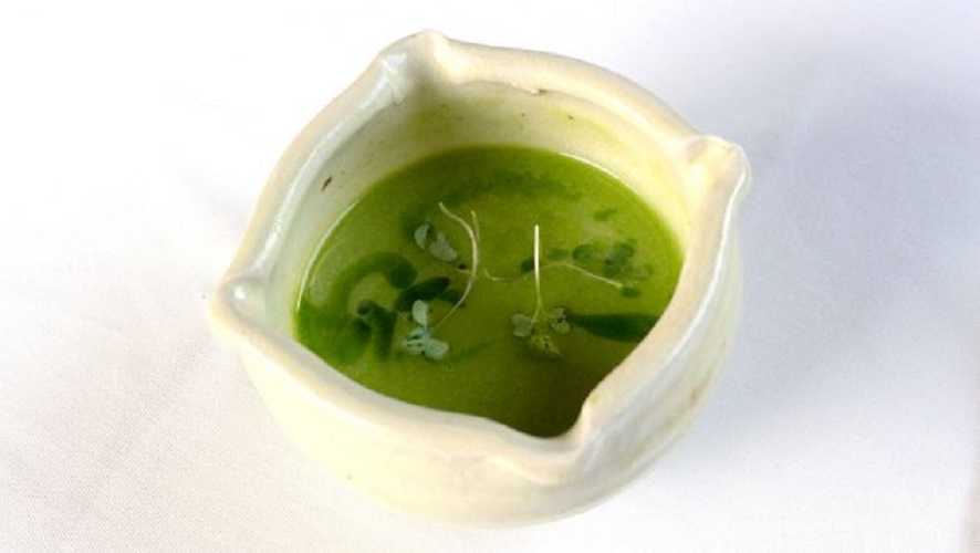 Crema de calabacín y albahaca
