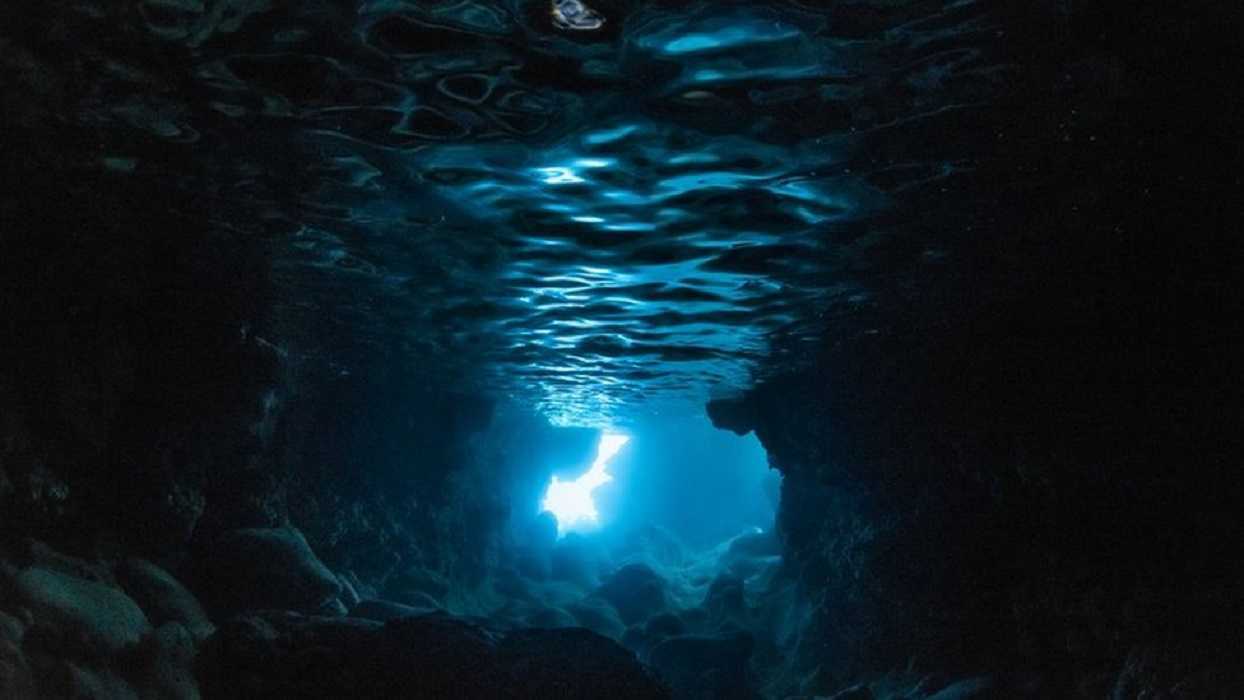 ¿Qué se oculta en el lugar más solitario de la Tierra? La zona abisal